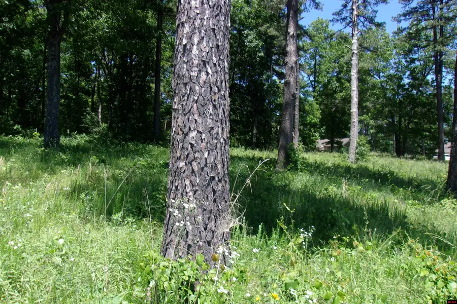 Lot 9 WHITE BLUFFS COURT, Mountain Home, AR 72653 - #3