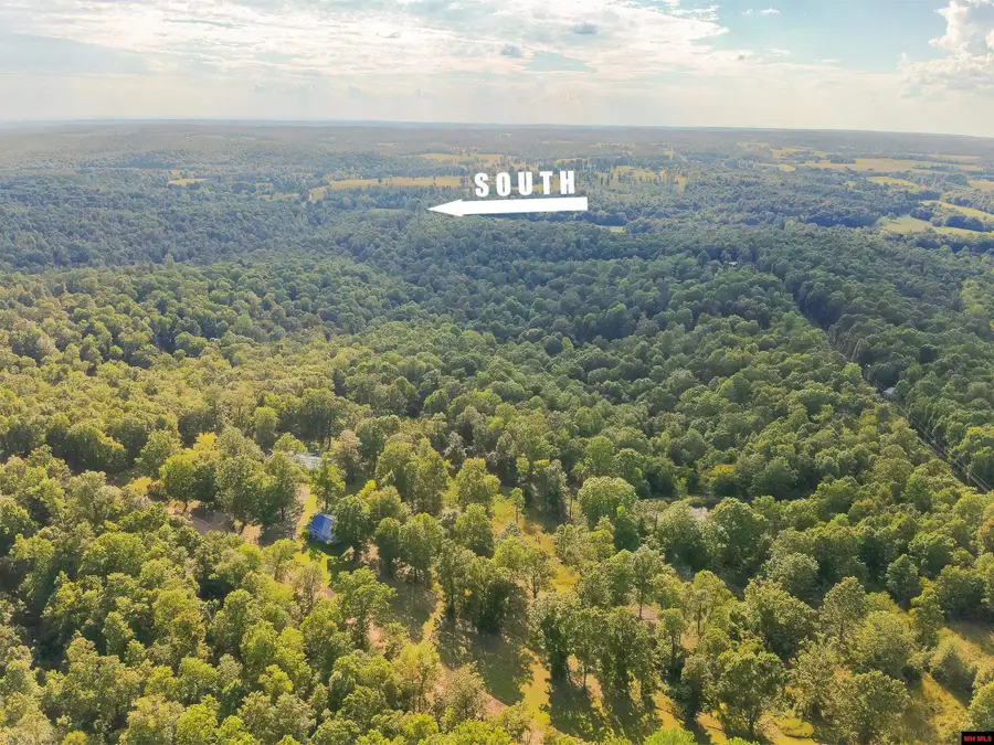 001-05099-000 YOUNG ROAD, Salem, AR 72576 - Image #2