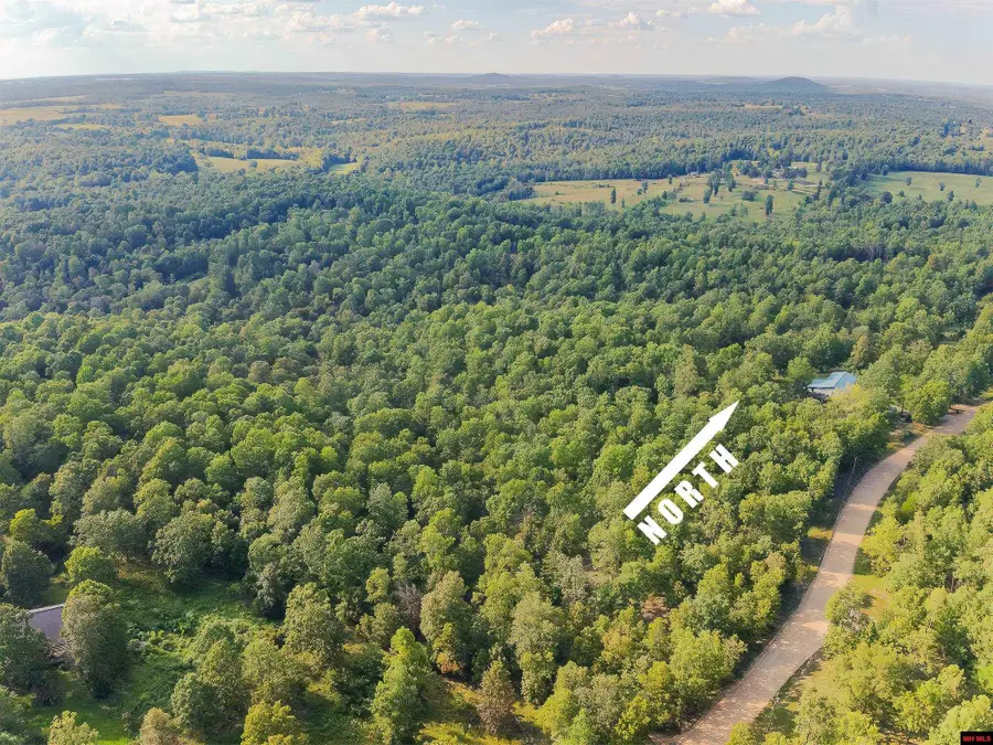 001-05099-000 YOUNG ROAD, Salem, AR 72576 - Image #3