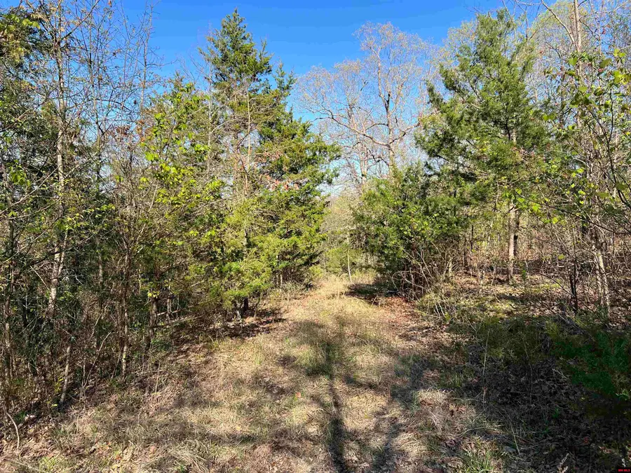 761 MC 8054, Yellville, AR 72687 - Image #2