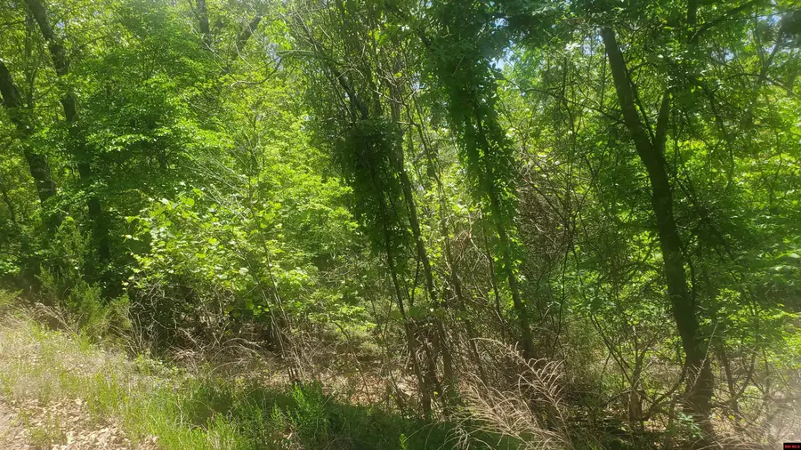 010-01926-095 GLENPIKE DRIVE, Briarcliff, AR 72653 - Image #2