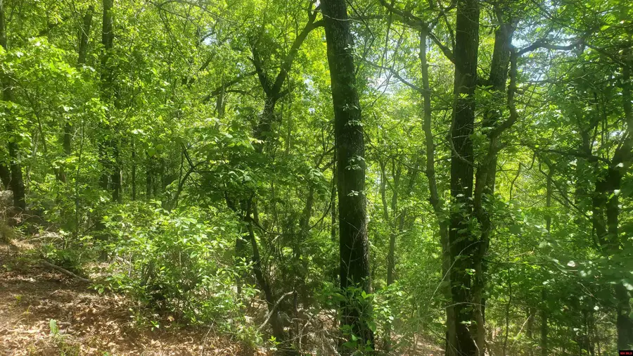 010-01926-095 GLENPIKE DRIVE, Briarcliff, AR 72653 - Image #3