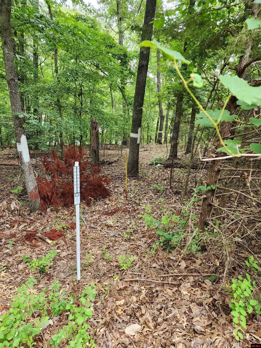 Lot 1 LAKE POINT DRIVE, Flippin, AR 72634 - #3