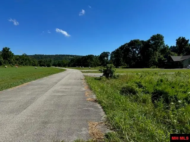 002-11244-042 TRAVIS TERRACE, Norfork, AR 72658 - Image #2