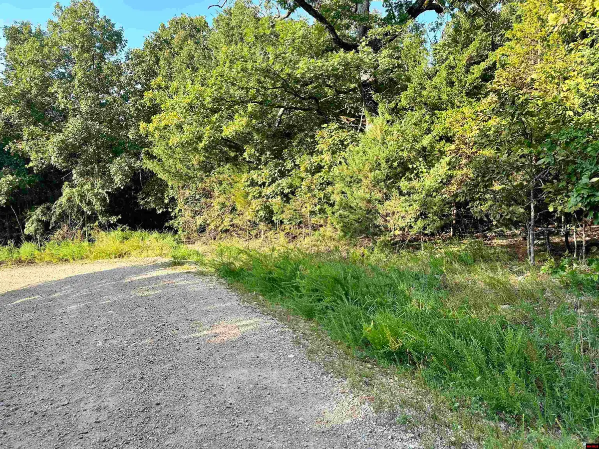 Tract 17 MC 6068, Flippin, AR 72634 - Image #1