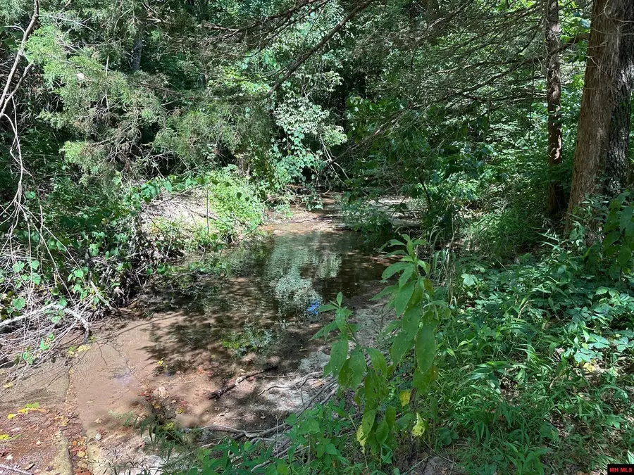 001-03815-001 MC 5019, Pyatt, AR 72672 - Image #3