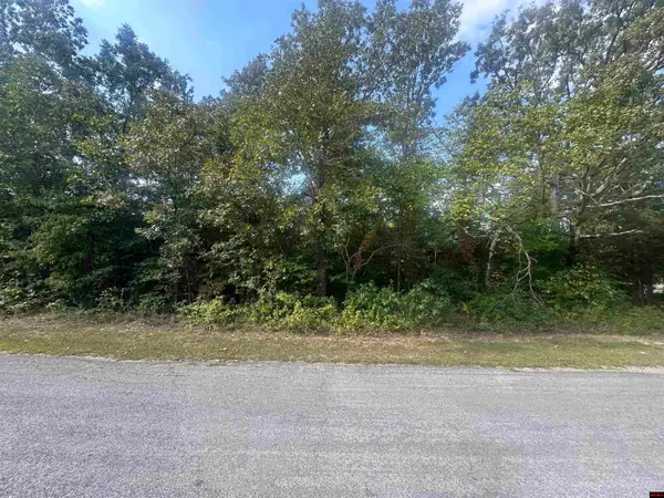 301 W LANSING AVENUE, Horseshoe Bend, AR 72512