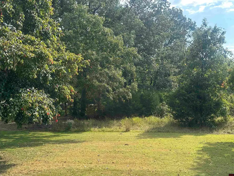 301 S SEQUOIA DRIVE, Horseshoe Bend, AR 72512 - #2