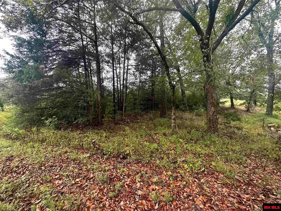 301 S SEQUOIA DRIVE, Horseshoe Bend, AR 72512 - #3