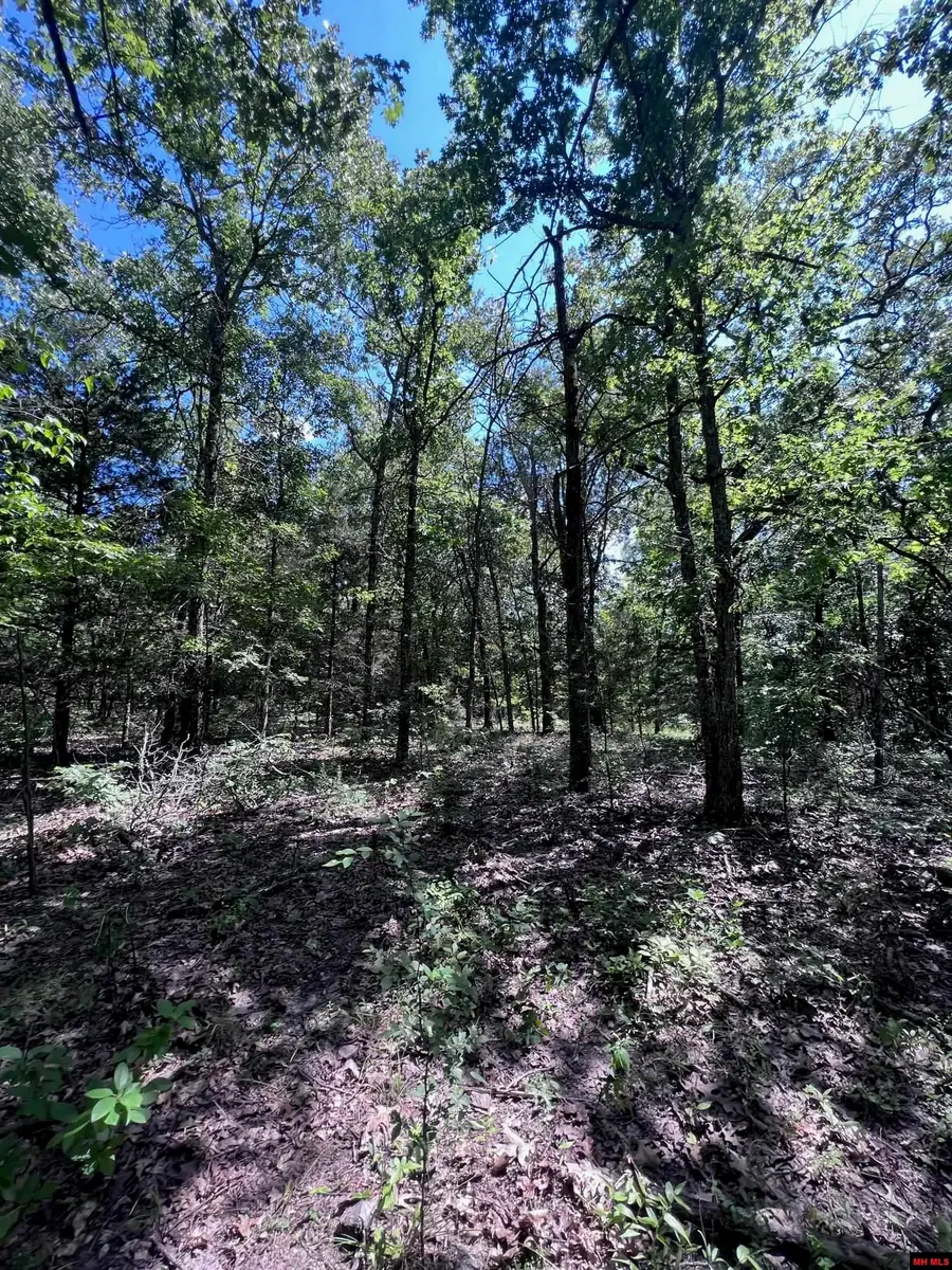 23-0.2-10-000-0 CR 553A, Gainesville, MO 65655 - Image #2