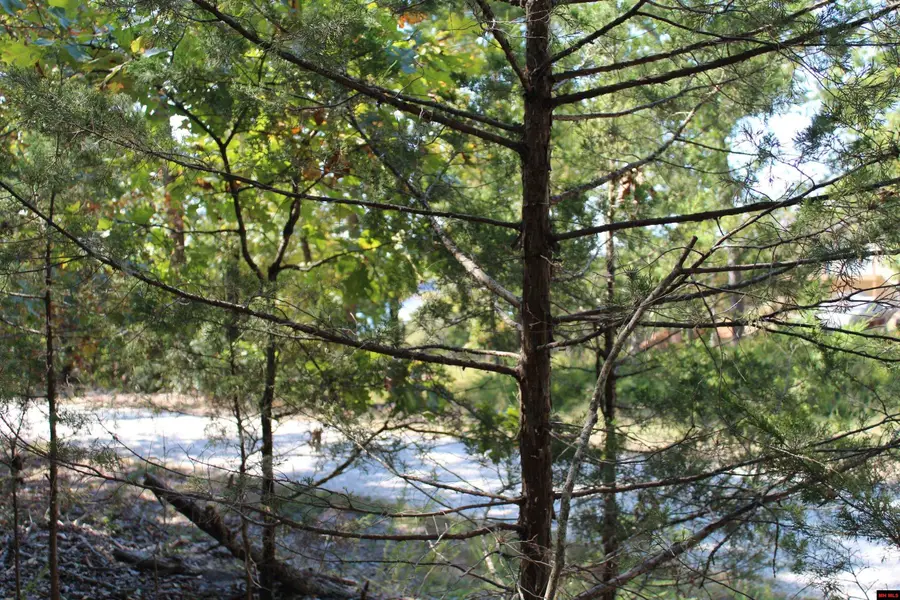 156-00026-000 BLUE LAKE DRIVE, Protem, MO 65733 - Image #3