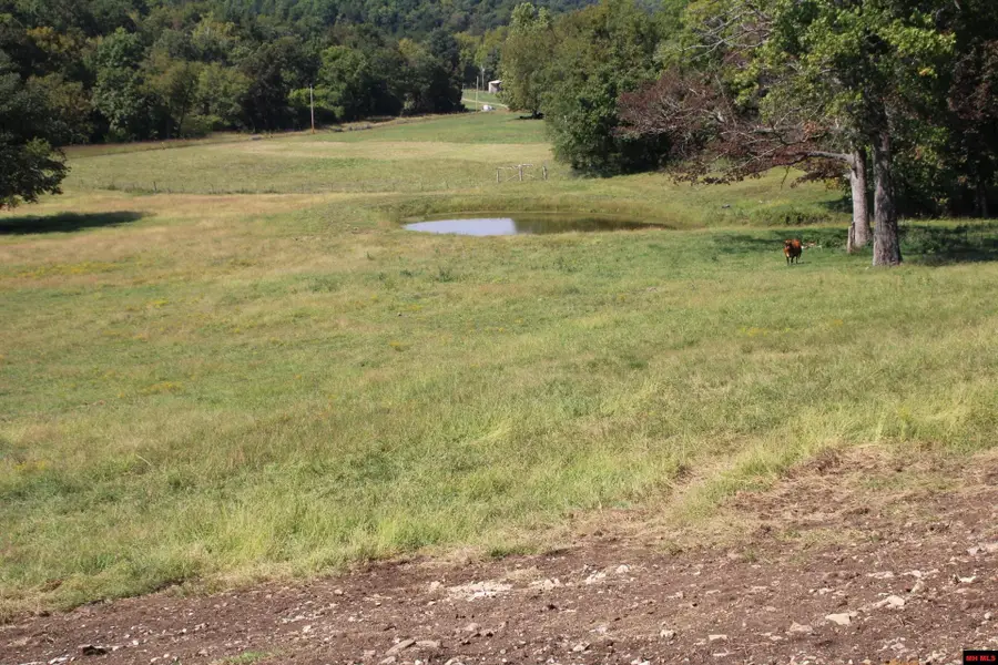 001-08869-000 MC 8118, Yellville, AR 72687 - #3