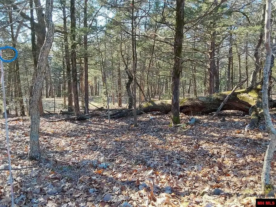 Lot 1-4 MC 131, Oakland, AR 72661 - Image #3