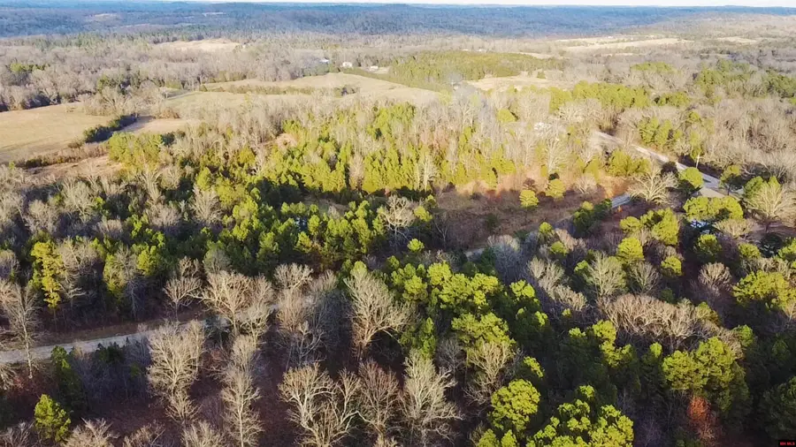 002-11266-000 JORDAN VALLEY ROAD, Jordan, AR 72519 - Image #2