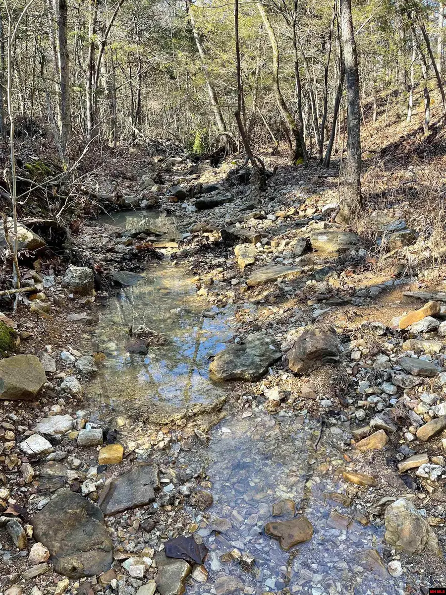 170614000000008 HWY 160, Gainesville, MO 65655 - Image #2