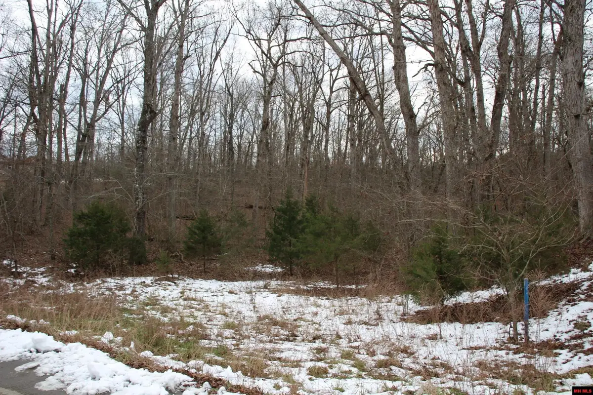 Lot 34 ELLY LANE, Flippin, AR 72634 - Image #1