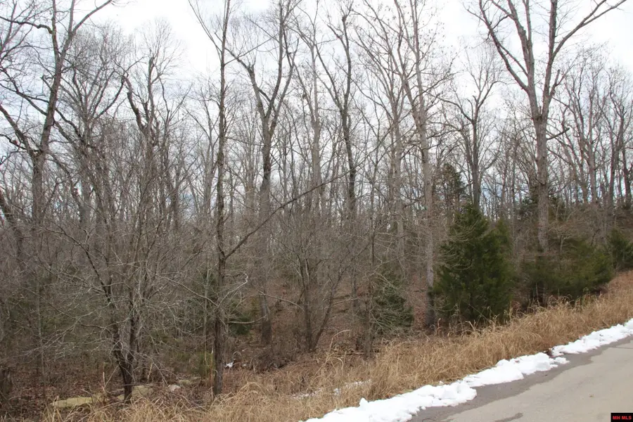 Lot 31 ELLY LANE, Flippin, AR 72634 - Image #2