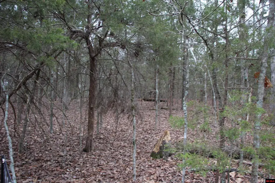 Lot 38 JEB ROAD, Flippin, AR 72634 - Image #2