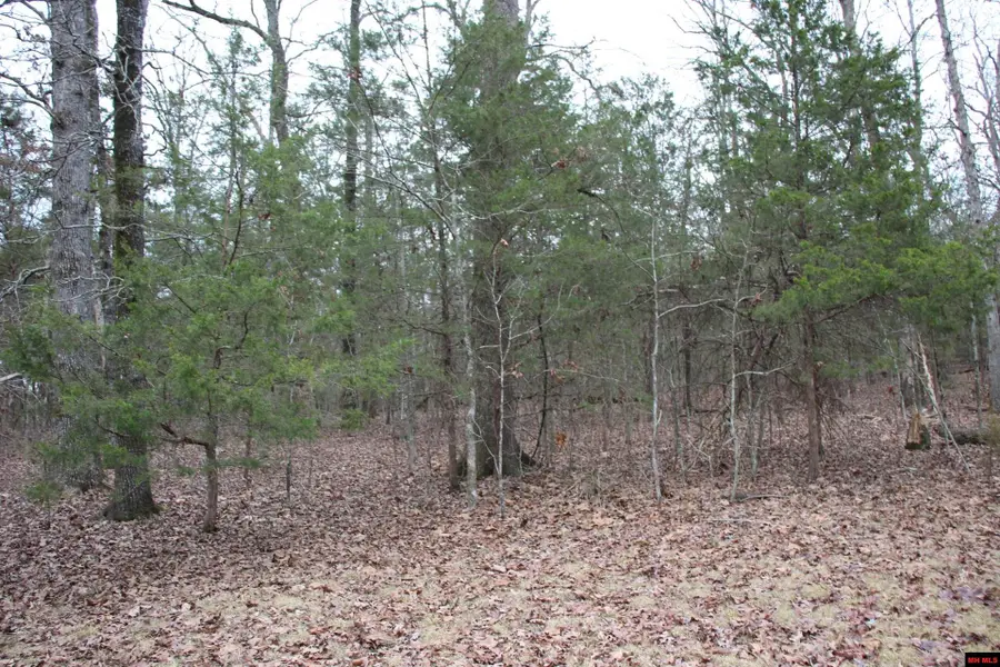 Lot 38 JEB ROAD, Flippin, AR 72634 - Image #3