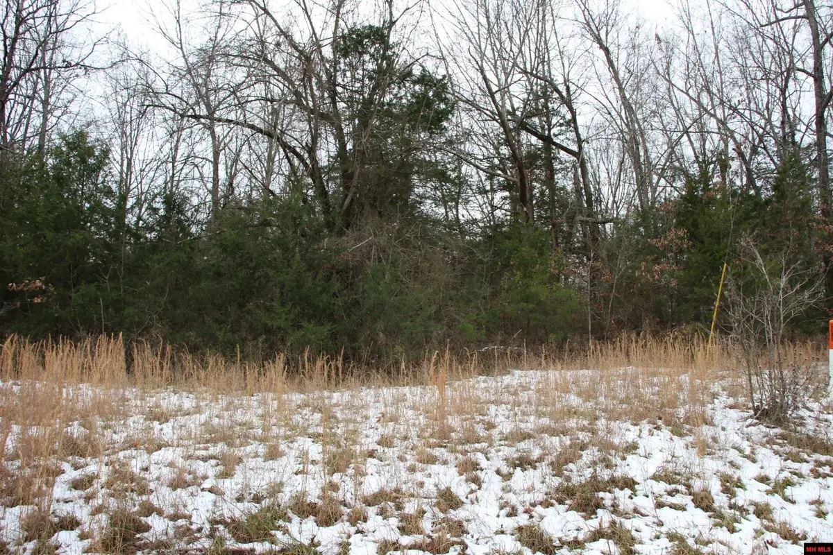 Lot 2 MC 8064, Flippin, AR 72634 - Image #1