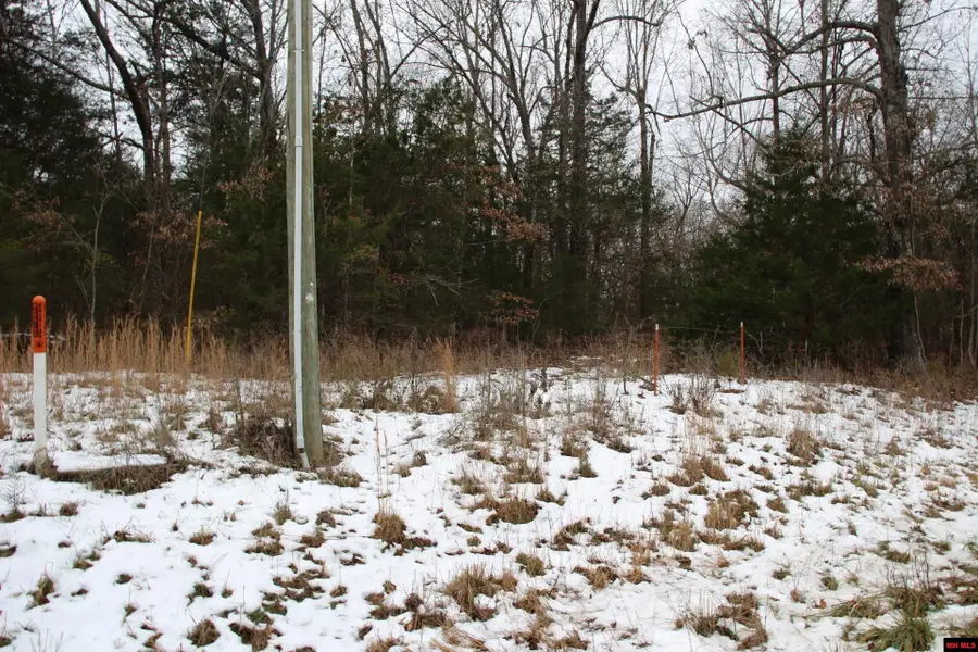 Lot 2 MC 8064, Flippin, AR 72634 - Image #2