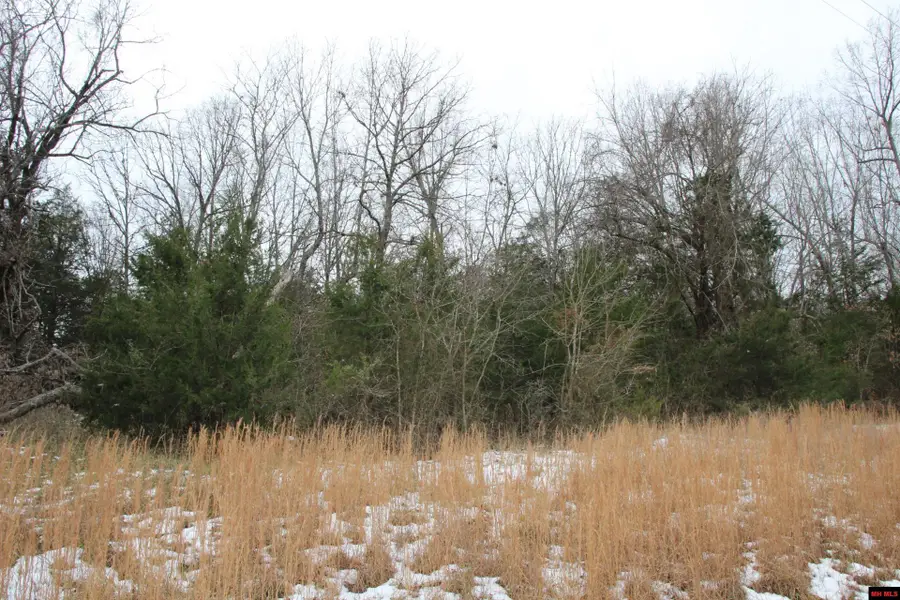 Lot 2 MC 8064, Flippin, AR 72634 - Image #3