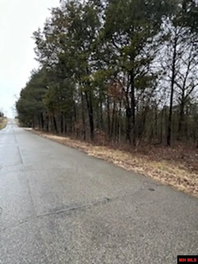 770 05121 000 HWY 62/412 EAST, Flippin, AR 72634 - Image #3