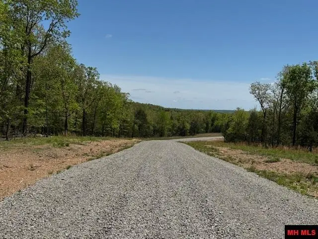 Tract 8 HWY 201 NORTH, Clarkridge, AR 72623 - Image #2