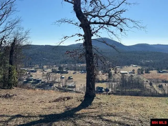 Lot 2 WHITE BLUFFS COURT, Mountain Home, AR 72653 - Image #1