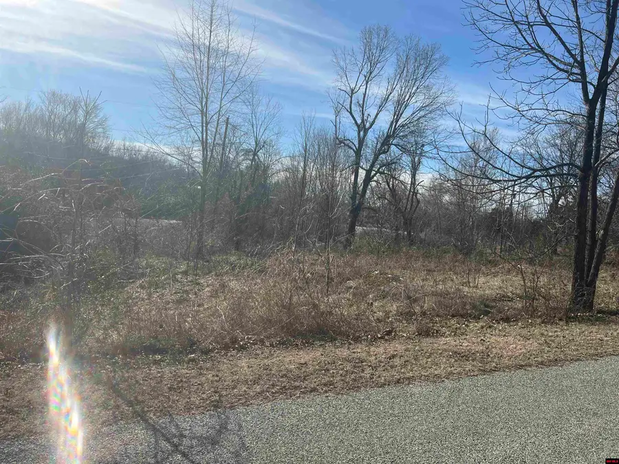 002-10273-071 TOWN PARK CIRCLE, Mountain Home, AR 72653 - Image #2