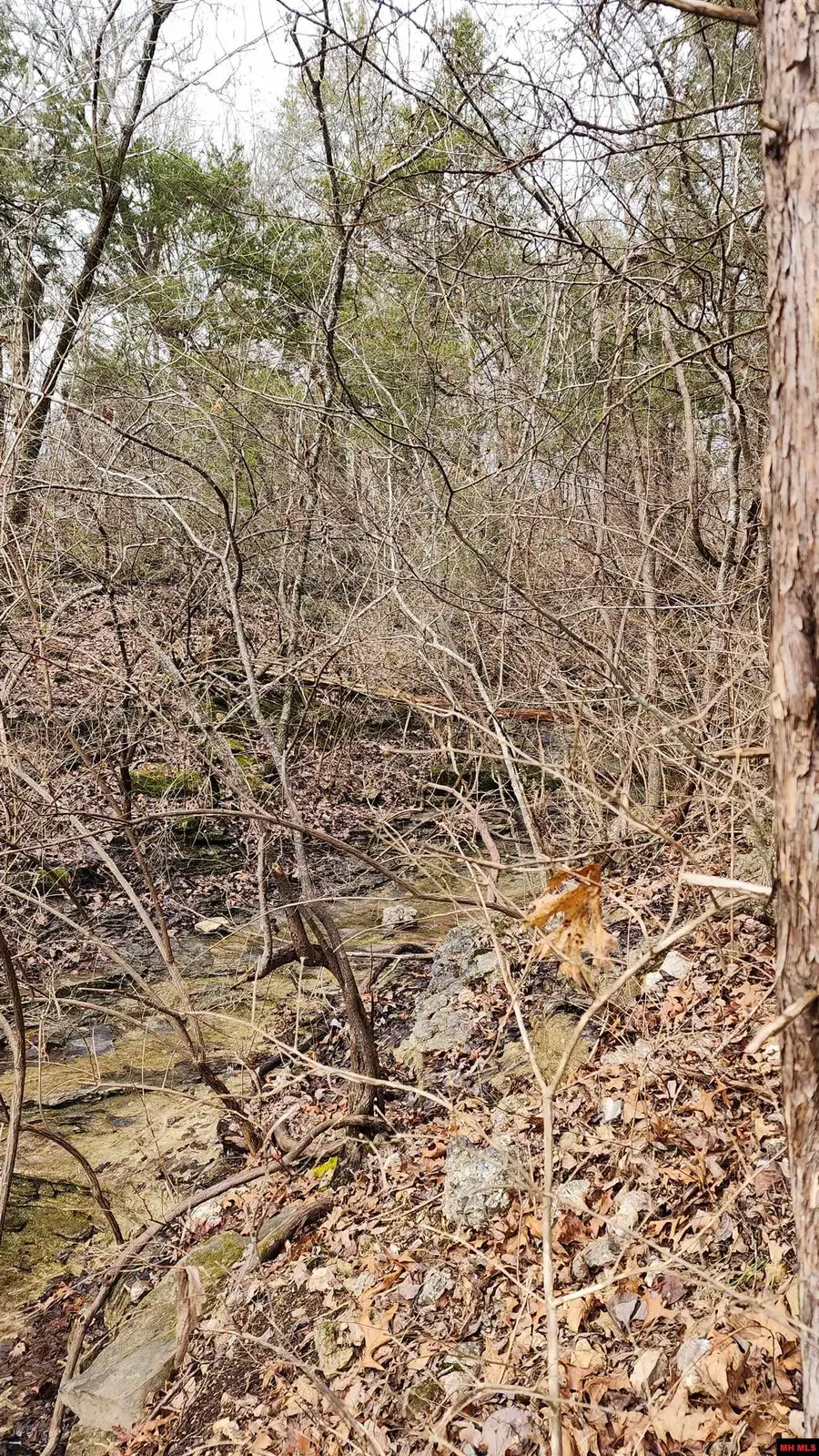 Lot 39 KINGSWAY CIRCLE, Bull Shoals, AR 72619 - Image #3