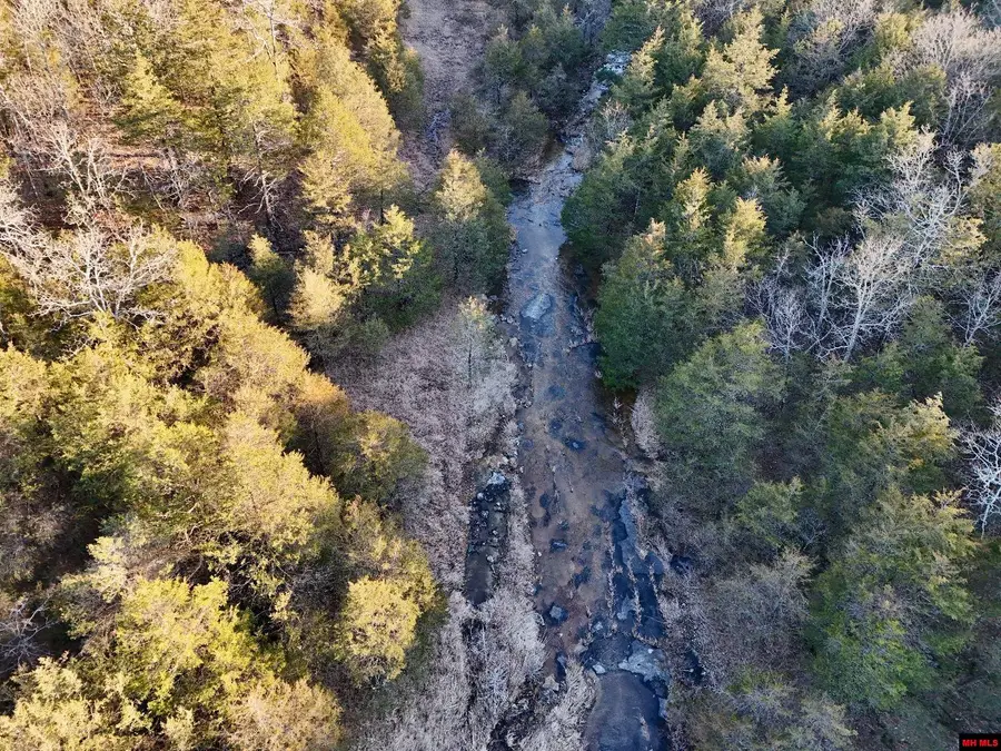 001-07452-000 CR 1425, Mountain Home, AR 72653 - Image #3