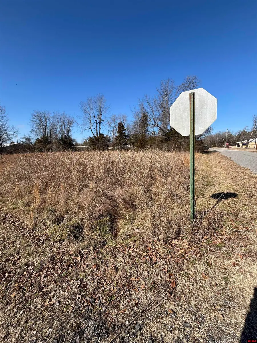 Lots 19-22 CAROLYN DRIVE, Bull Shoals, AR 72619 - Image #3