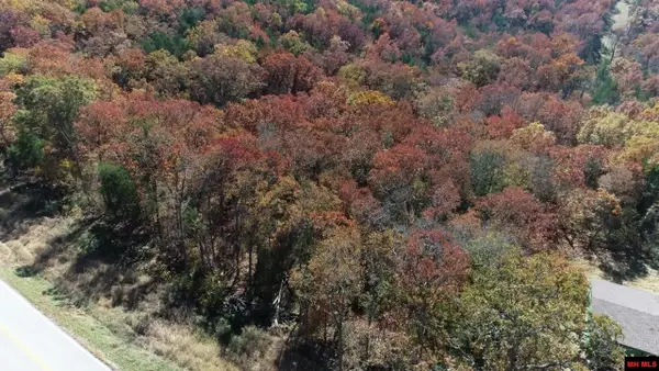 0950210020020 HWY 76, Kirbyville, MO 65679