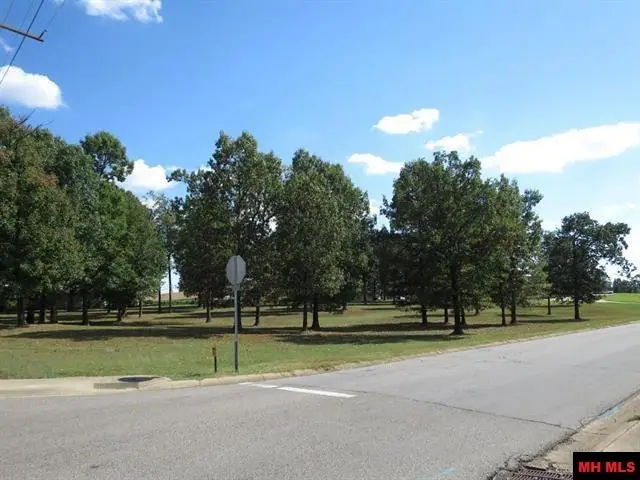 007-14062-001 WALLACE KNOB ROAD, Mountain Home, AR 72653 - #3