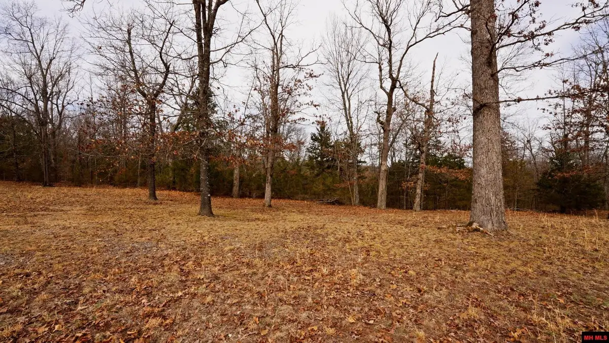 Lot 18 OAKRIDGE DRIVE, Gepp, AR 72538 - Image #1