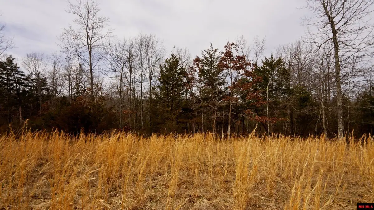 Lot 21 OAKRIDGE DRIVE, Gepp, AR 72538 - Image #1