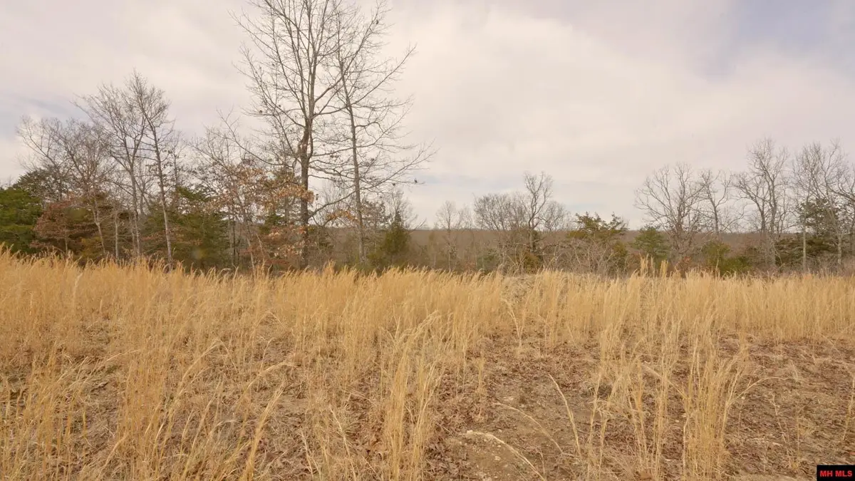 446-29043-000 OAKRIDGE DRIVE, Gepp, AR 72538 - Image #1