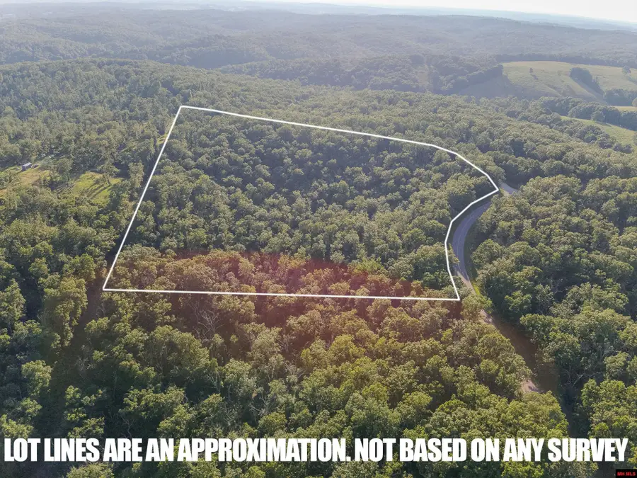 250735000000007 STATE HWY Y, Willow Springs, MO 65793 - Image #2