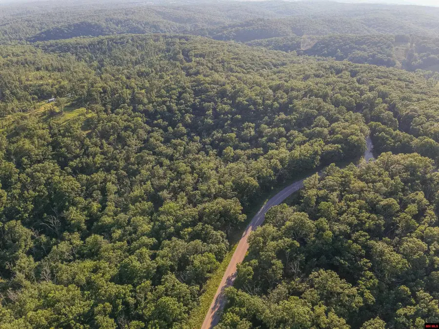 250735000000007 STATE HWY Y, Willow Springs, MO 65793 - Image #3