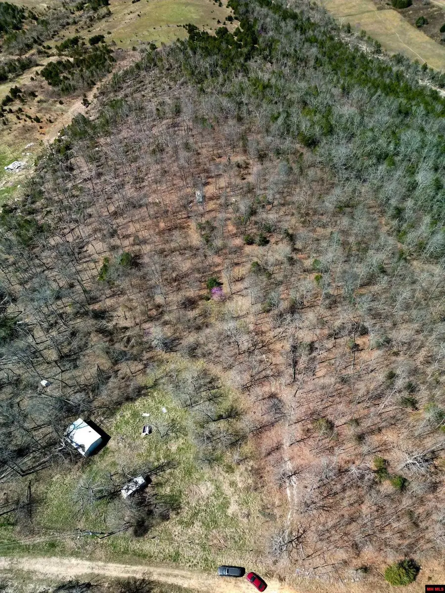 Lot 1 DEER MEADOWS LANE, Yellville, AR 72687 - #3