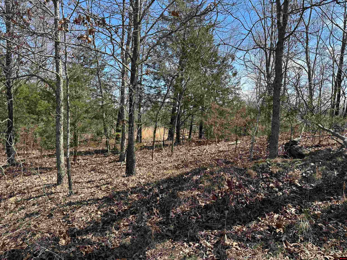 Lot 2 DEER MEADOWS LANE, Yellville, AR 72687 - #1