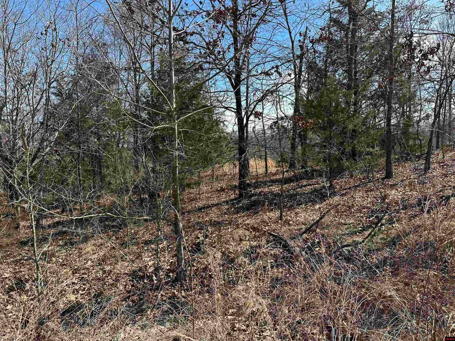 Lot 2 DEER MEADOWS LANE, Yellville, AR 72687 - #2