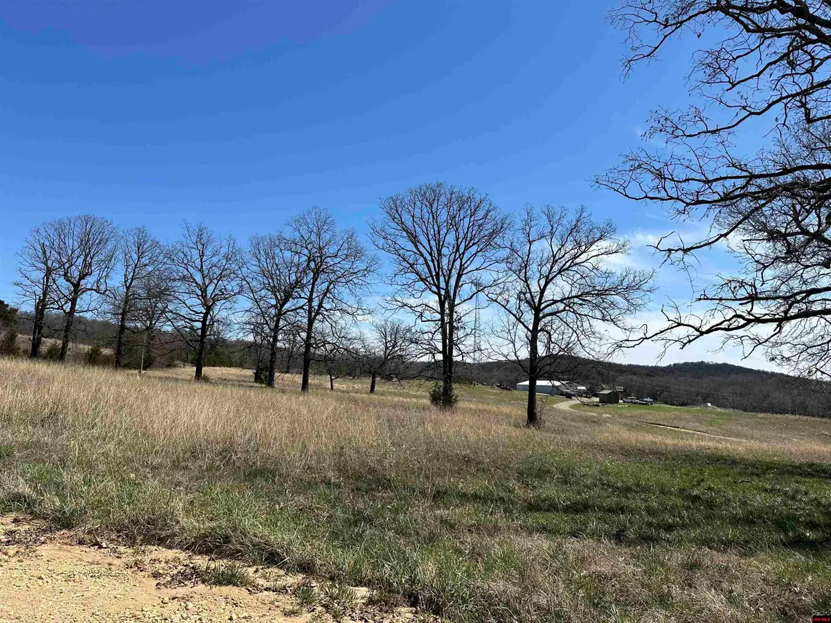 Lot 4 DEER MEADOWS LANE, Yellville, AR 72687 - #1