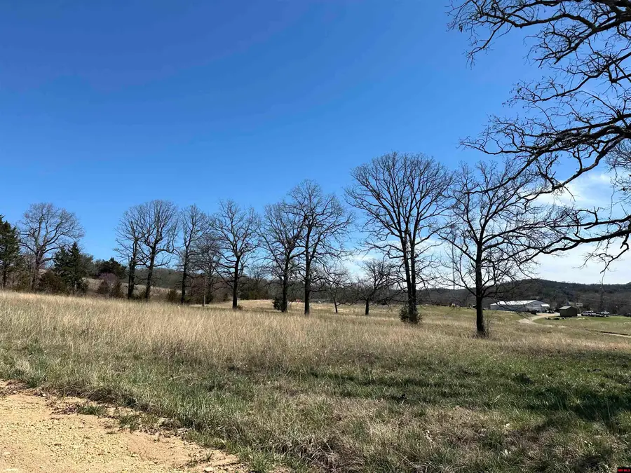 Lot 4 DEER MEADOWS LANE, Yellville, AR 72687 - #2