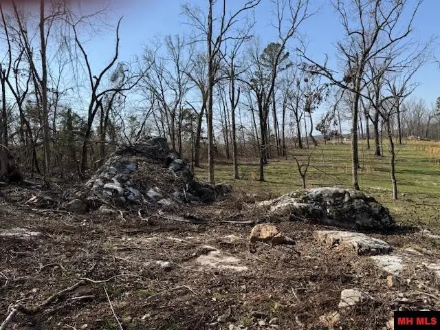 008-02893-001 HWY 5, Norfork, AR 72658 - Image #3