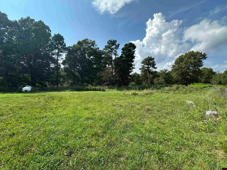 231 JONES ROAD, Yellville, AR 72687 - #2