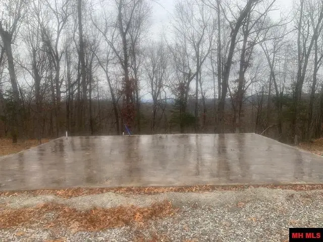 313 MC 4042, Yellville, AR 72687 - #1