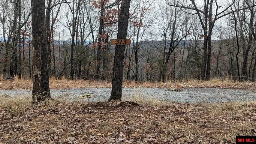 313 MC 4042, Yellville, AR 72687 - #2