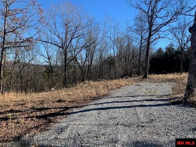 313 MC 4042, Yellville, AR 72687 - #3